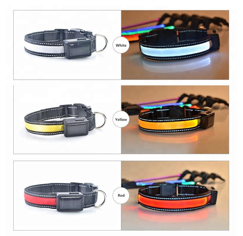 Collar LED para perros TC, varios colores, carga solar/USB, alta visibilidad, dos modos de luz y duradero
