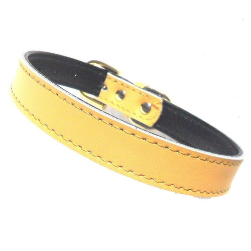 Collar para perros SO Bywater Street, varios colores, 4 tamaños, piel sintética, herrajes dorados, suave y flexible.
