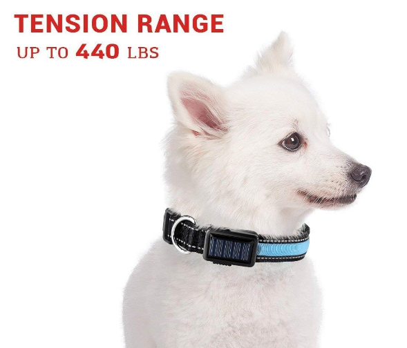 Collar LED para perros TC, varios colores, carga solar/USB, alta visibilidad, dos modos de luz y duradero