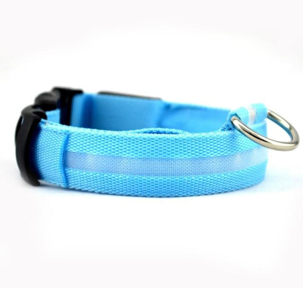 Collar LED de nailon para perros Pandora amarillo, juego de 2 piezas, ajustable, duradero y seguro para paseos nocturnos