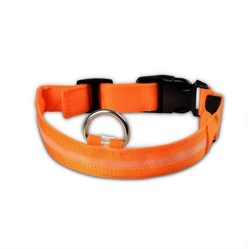 Collar LED de nailon para perros Pandora amarillo, juego de 2 piezas, ajustable, duradero y seguro para paseos nocturnos