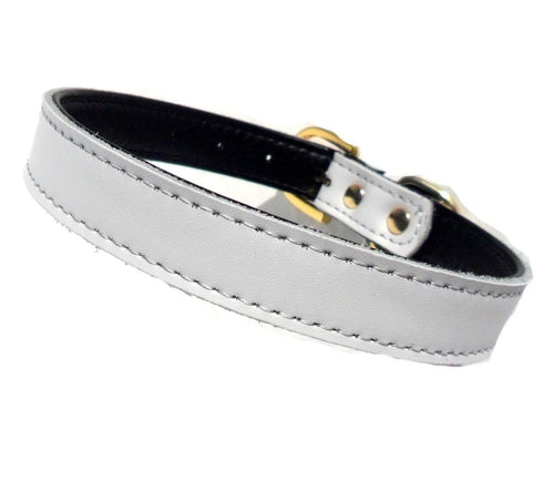 Collar para perros SO Bywater Street, varios colores, 4 tamaños, piel sintética, herrajes dorados, suave y flexible.