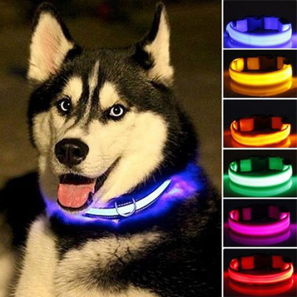 Collar LED de nailon para perros Pandora amarillo, juego de 2 piezas, ajustable, duradero y seguro para paseos nocturnos