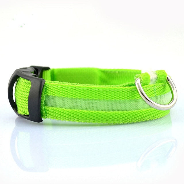 Collar LED de nailon para perros Pandora amarillo, juego de 2 piezas, ajustable, duradero y seguro para paseos nocturnos