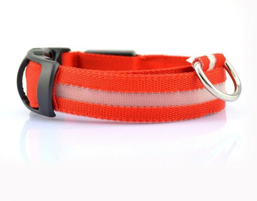 Collar LED de nailon para perros Pandora amarillo, juego de 2 piezas, ajustable, duradero y seguro para paseos nocturnos