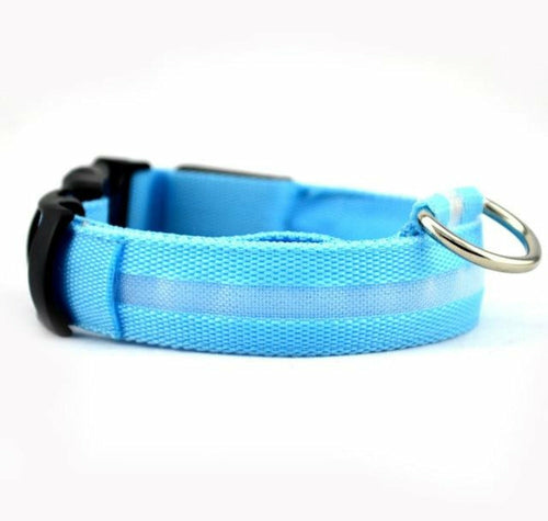 Collar LED de nailon para perros Pandora amarillo, juego de 2 piezas, ajustable, duradero y seguro para paseos nocturnos