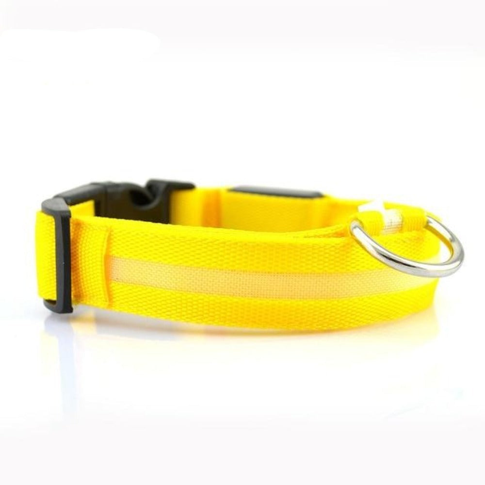 Collar LED de nailon para perros Pandora amarillo, juego de 2 piezas, ajustable, duradero y seguro para paseos nocturnos