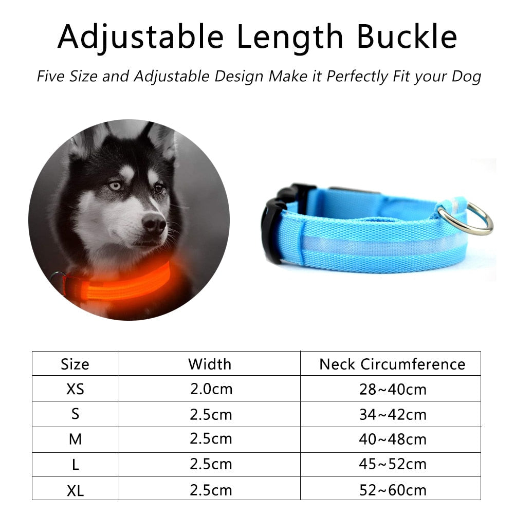 Collar LED de nailon para perros Pandora amarillo, juego de 2 piezas, ajustable, duradero y seguro para paseos nocturnos